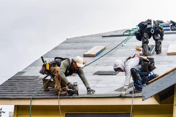 Professional Storm Damage Roof Repair technician working in Monroe, VA